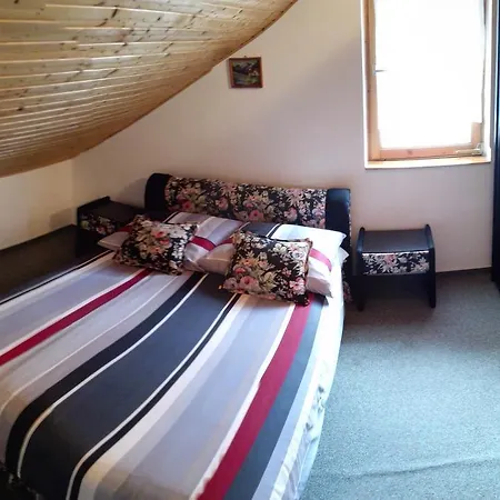 Schmidt 鲍洛通费尼韦什